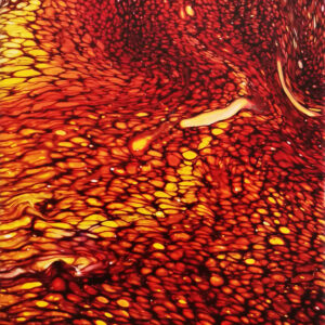 Curvatura espacio-temporal